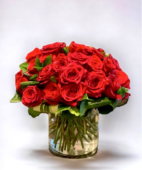 48 Modern Red Roses