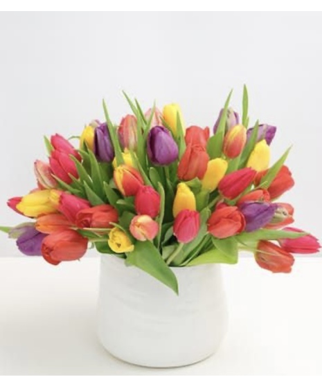 Spring Tulips