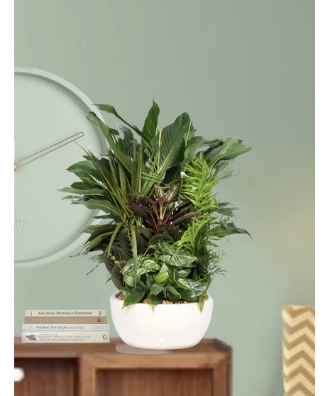 Assorted green plants in a ceramic container.